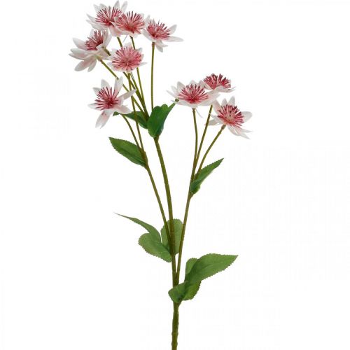 Article Grande Fleur Artificielle Astrania Artificielle en Soie Blanc Rose L61cm