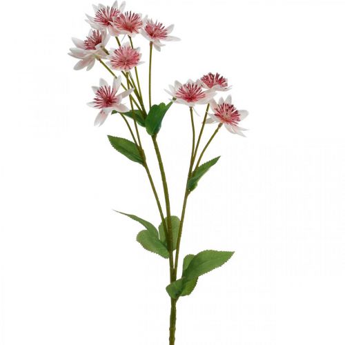 Floristik24 Grande Fleur Artificielle Astrania Artificielle en Soie Blanc Rose L61cm