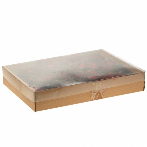 Floristik24 Tranches de fruits décoratifs Ata fruit rouge 1kg