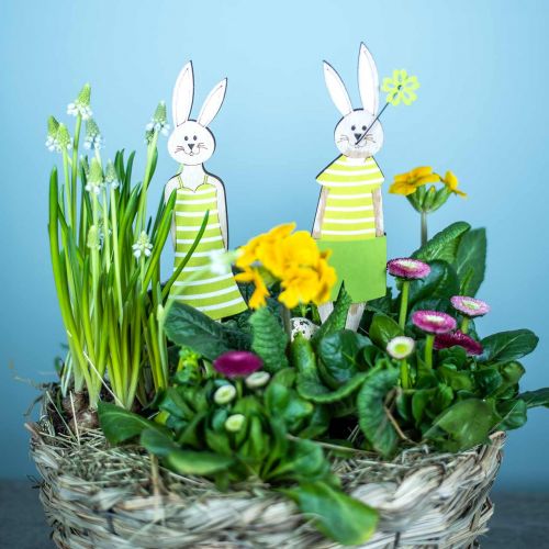 Floristik24 Stand de lapin de Pâques Décoration de Pâques en bois de lapin vert 4pcs