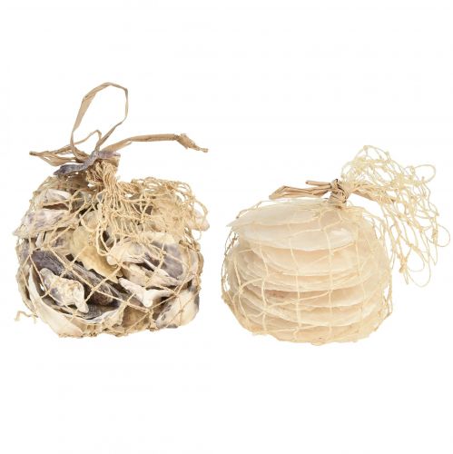 Article Moules huîtres tranches de capiz en filet naturel 3,5–9,5cm 2pcs