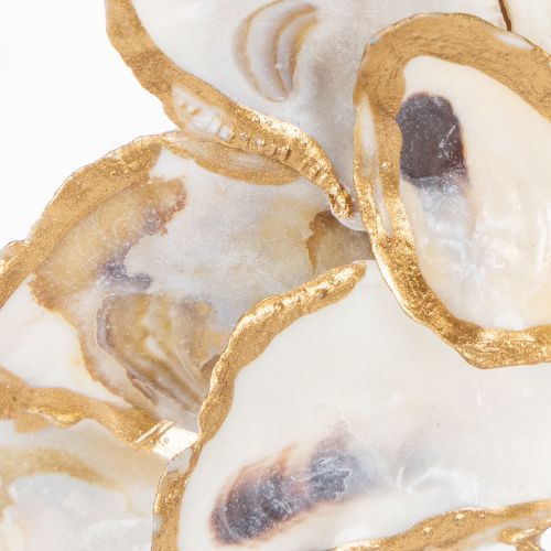 Article Couronne de coquillages en forme d'huître, accessoire de décoration marin, décoration murale naturelle, 12 cm