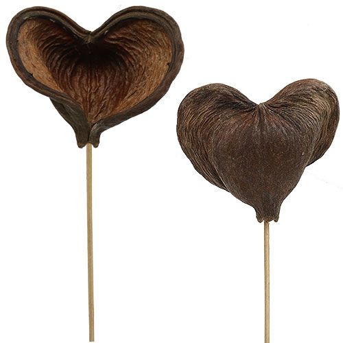 Floristik24 Badam sur bâton naturel 6cm - 12cm 23 pcs