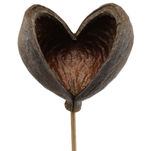 Article Badam sur bâton naturel 6cm - 12cm 23 pcs