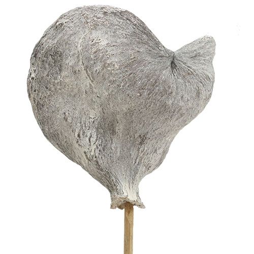 Article Badam sur bâtonnet Déco naturelle blanchie 12cm 23pcs