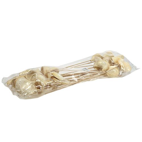 Floristik24 Badam sur bâton blanchi 6cm - 12cm L55cm 23 pcs