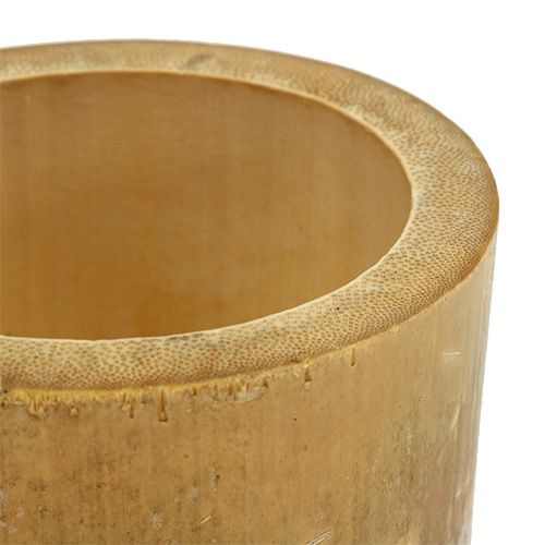 Floristik24 Contenant pour plantes en bambou Ø 7 cm H. 10 cm