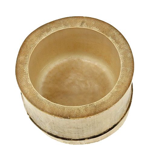 Floristik24 Contenant pour plantes en bambou Ø 7 cm H. 10 cm