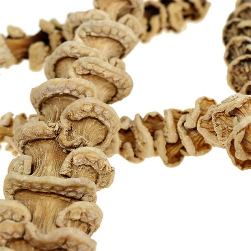 Article Tiges de bananier Déco nature, blanchi 20-35cm 20pcs