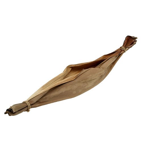 Floristik24 Bol en feuille de bananier 40-45cm naturel 1 pièce