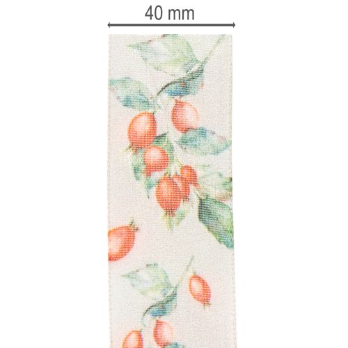 Ruban cadeau, motif automnal avec cynorrhodons et feuilles, 40 mm x 18 m | Floristik24.be