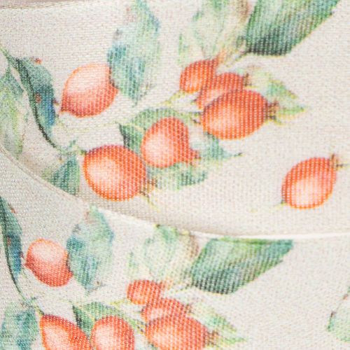 Ruban cadeau, motif automnal avec cynorrhodons et feuilles, 40 mm x 18 m | Floristik24.be