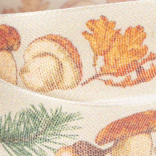 Ruban décoratif à motif de champignons et de feuilles d'automne, 25 mm de large, 18 m de long | Floristik24.be