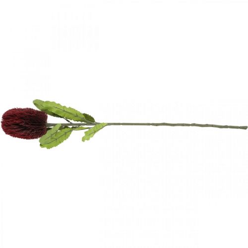 Article Fleur Artificielle Banksia Rouge Bordeaux Artificielle Exotiques 64cm