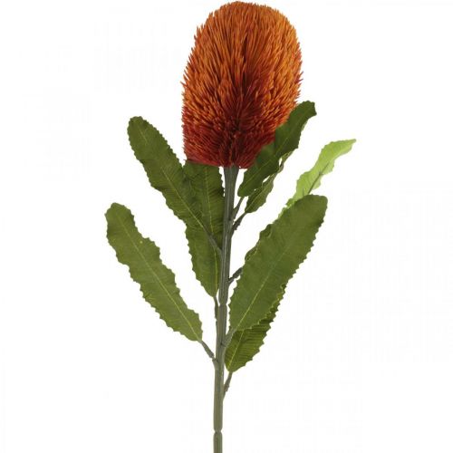 Article Fleur Artificielle Banksia Orange Automne Décoration Fleurs Funéraires 64cm