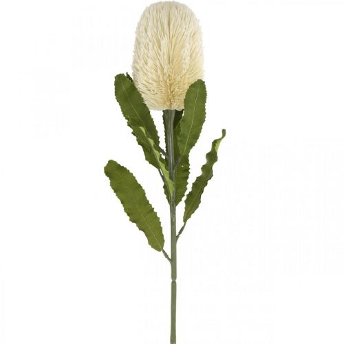 Article Fleur Artificielle Banksia Blanc Crème Artificielle Exotiques 64cm