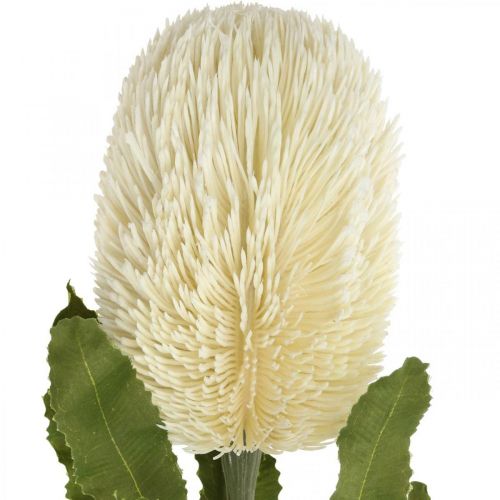 Article Fleur Artificielle Banksia Blanc Crème Artificielle Exotiques 64cm