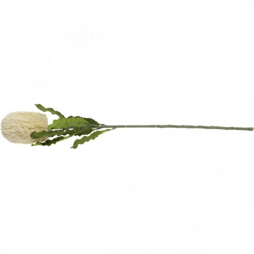 Article Fleur Artificielle Banksia Blanc Crème Artificielle Exotiques 64cm