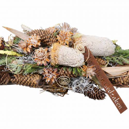 Floristik24 Banksia Hookerana naturel 7 pcs