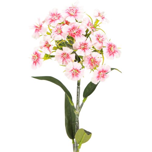 Article Oeillet barbu Oeillet artificiel Rose Pêche 52cm