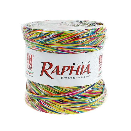 Floristik24 Raphia en ruban décoratif multicolore 200 m