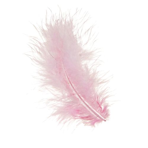 Floristik24 Plumes artisanales plumes d&#39;oiseaux roses printemps Pâques 5-10cm 20g