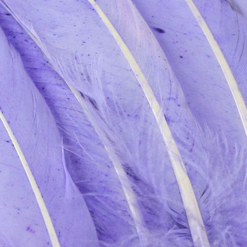Article Plumes artisanales teintes en plumes d&#39;oie violettes 20g x 2pcs