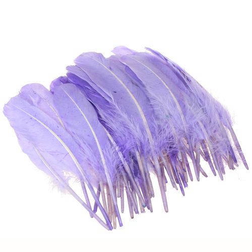Article Plumes artisanales teintes en plumes d&#39;oie violettes 20g x 2pcs