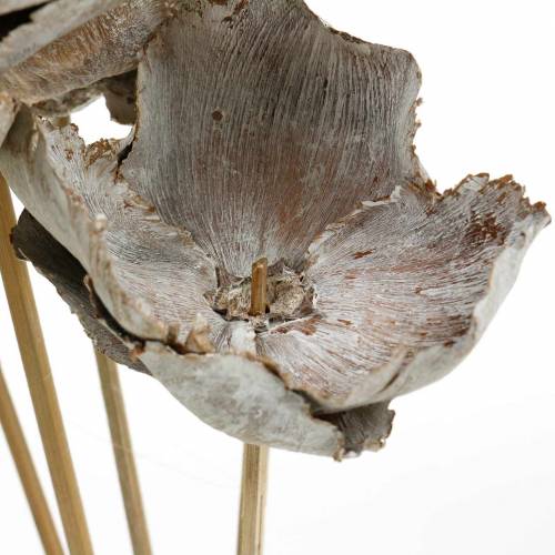 Article Fleurs de palmier sur bâtonnet Déco Blanchie Ø8-12cm 25pcs