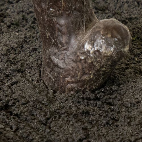 Arbre artificiel aux feuilles délicates, 120 cm | Floristik24.be