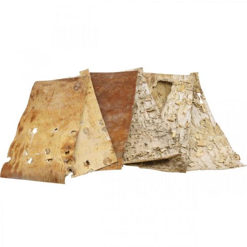 Floristik24 Écorce d'arbre bandes d'écorce décoratives écorce de bouleau naturelle 30×12cm 6 pièces