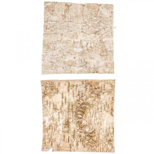 Floristik24 Écorce d&#39;arbre écorce décorative carrée écorce de bouleau naturelle 20×20cm 6 pcs