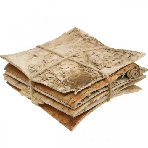 Floristik24 Écorce d&#39;arbre écorce décorative carrée écorce de bouleau naturelle 10×10cm 6 pcs