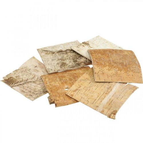 Floristik24 Écorce d&#39;arbre écorce décorative carrée écorce de bouleau naturelle 10×10cm 6 pcs