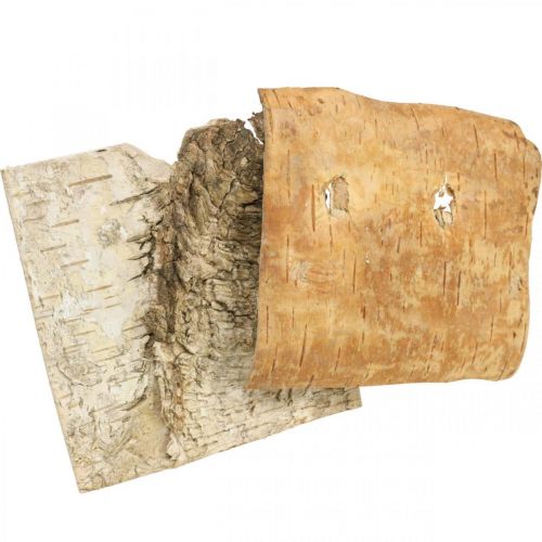 Floristik24 Écorce d&#39;arbre écorce décorative carrée écorce de bouleau naturelle 10×10cm 6 pcs