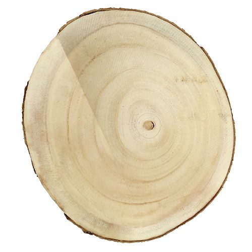 Floristik24 Tranche d&#39;arbre nature Ø20cm - 30cm