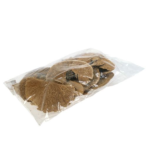 Floristik24 Eponge arbre nature 500g