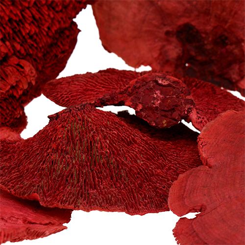 Article Éponge d'arbre rouge 1kg