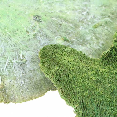 Article Éponge d'arbre vert blanchi à la chaux 1kg