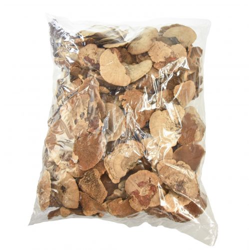 Floristik24 Éponge d'arbre petite décoration de champignons d'arbre naturels 4-6cm 1kg