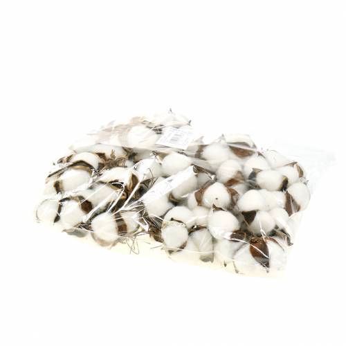 Floristik24 Fleurs de coton 50pcs