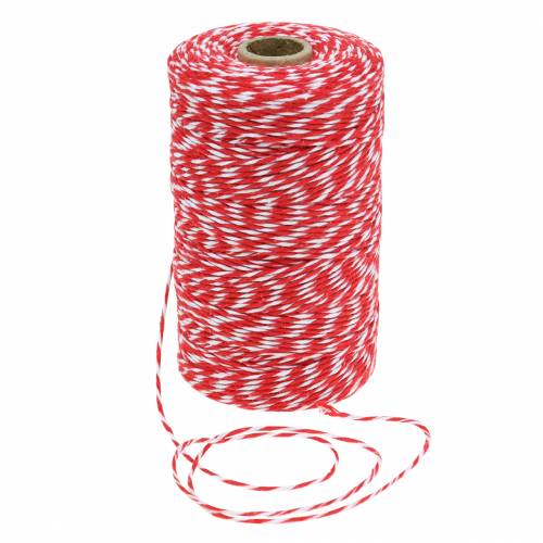 Floristik24 Cordon rouge/blanc 220m