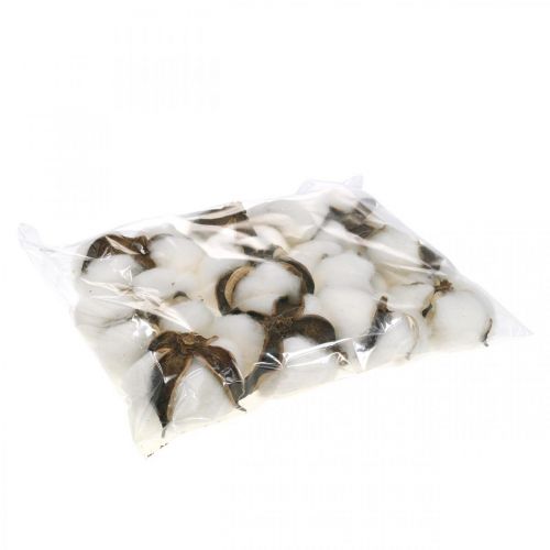 Article Décoration fleurs de coton coton séché décoration naturelle Ø6cm 12 pcs