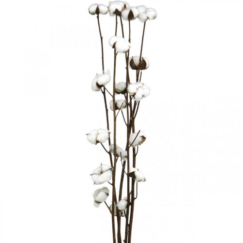 Article Branche de coton, branche décorative en coton, vrai coton L80cm 5 pièces