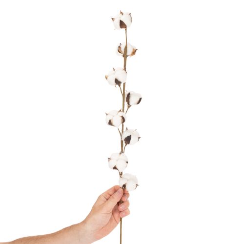 Branche de coton artificielle avec 8 vraies fleurs, 78 cm | Floristik24.be