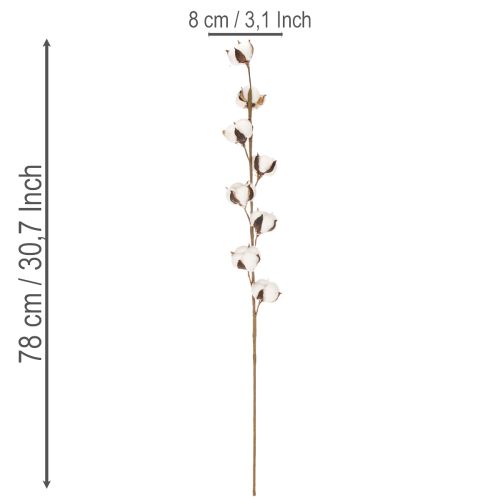 Branche de coton artificielle avec 8 vraies fleurs, 78 cm | Floristik24.be