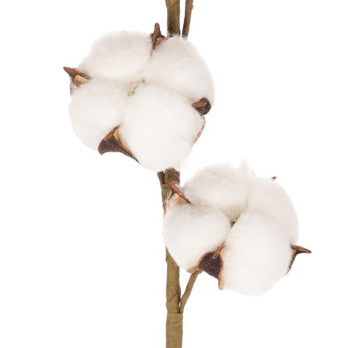 Branche de coton artificielle avec 8 vraies fleurs, 78 cm | Floristik24.be