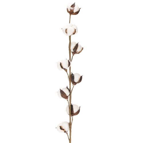 Branche de coton artificielle avec 8 vraies fleurs, 78 cm | Floristik24.be