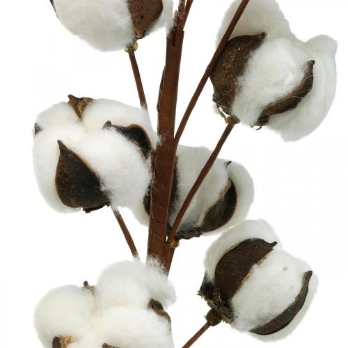 Article Branche de coton décoration naturelle 10 têtes sur fil décoration coton 68cm