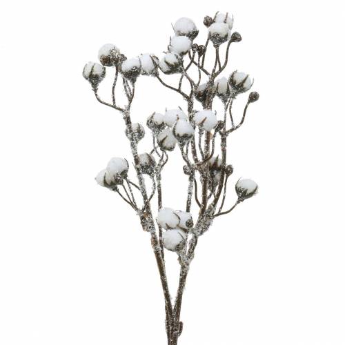 Floristik24 Branche de coton glacé 47cm